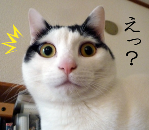 �т�����摜