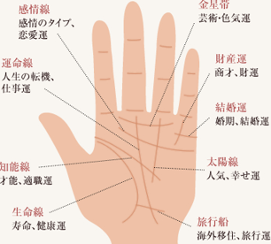 �摜7